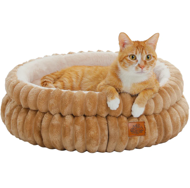 Beds and Blankets