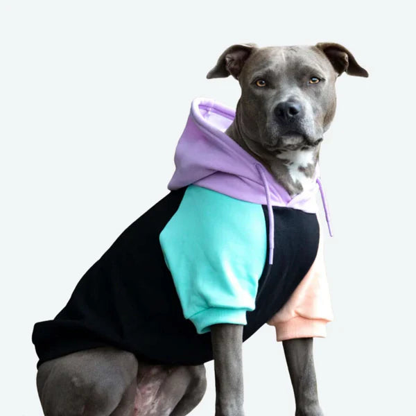 Costumes and Apparel