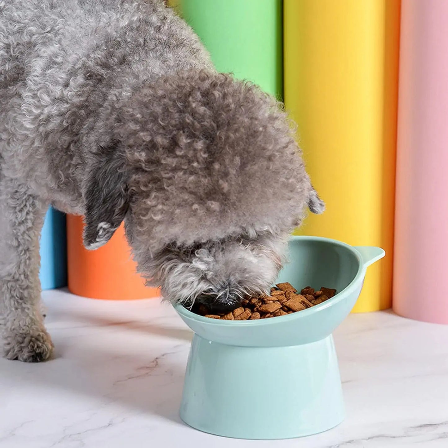 Tilted Whisker-Friendly Cat Bowl – Anti-Vomit, Shallow & Cute
