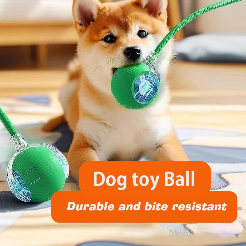 New Dog Interactive Ball Toy, Automatic Rolling Dog Ball Rechargeable, Smart Puppy Interactive Toy, Intelligent Balls Toy for Dogs