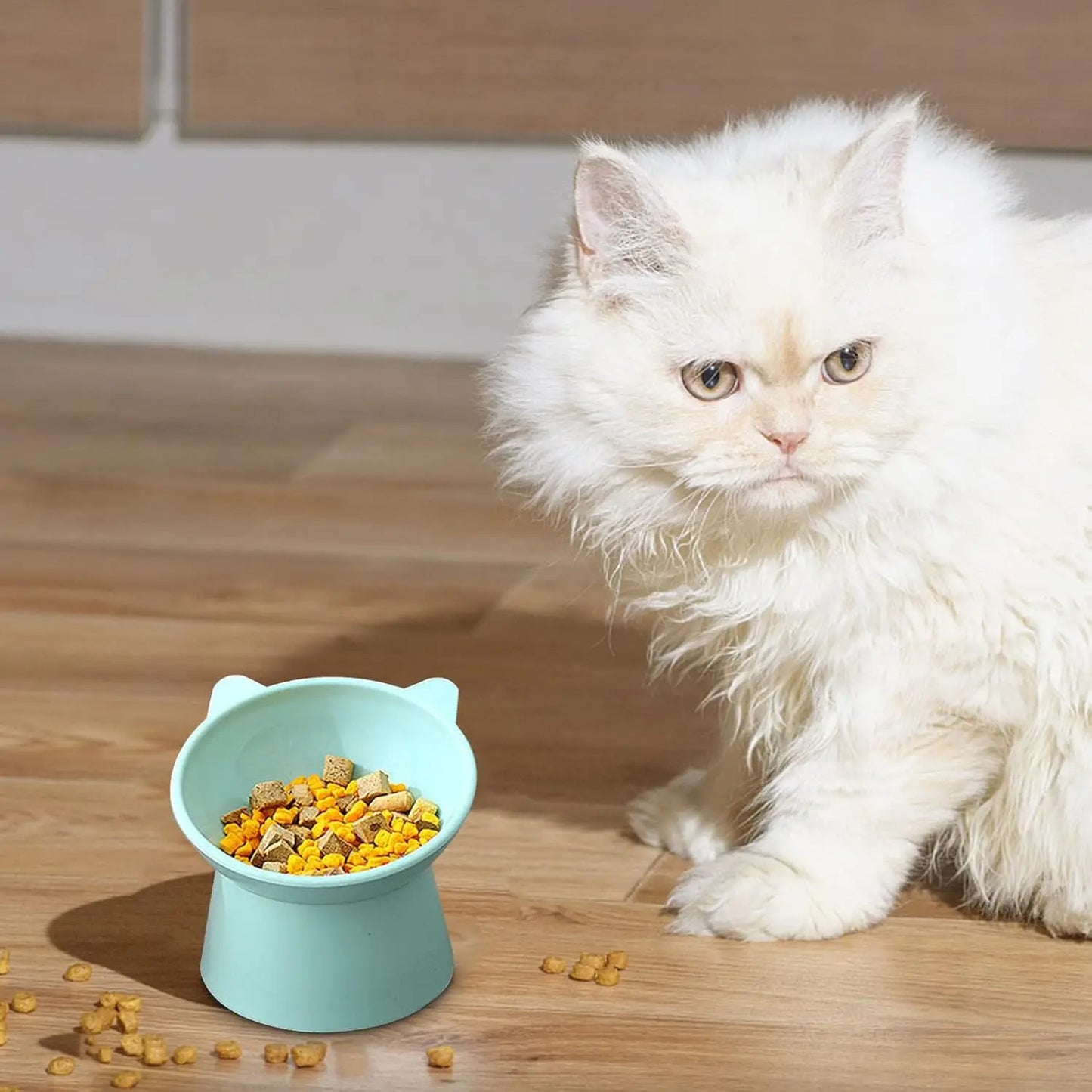 Tilted Whisker-Friendly Cat Bowl – Anti-Vomit, Shallow & Cute