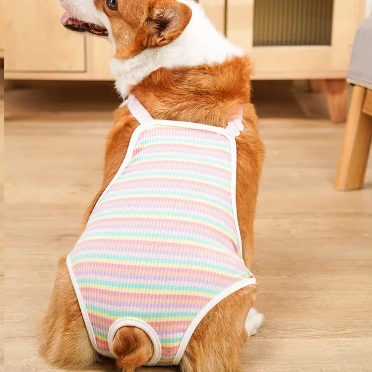 Adjustable Shoulder Strap Pants Washable, Female Dog Underwear Safety