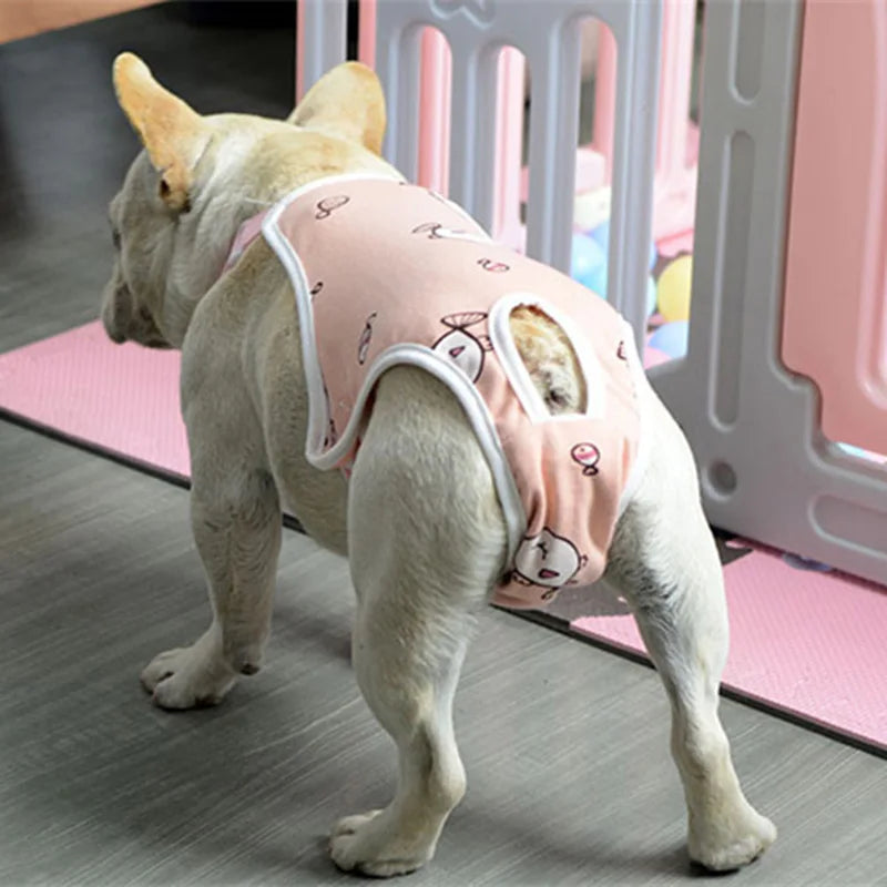 Adjustable Shoulder Strap Pants Washable, Female Dog Underwear Safety