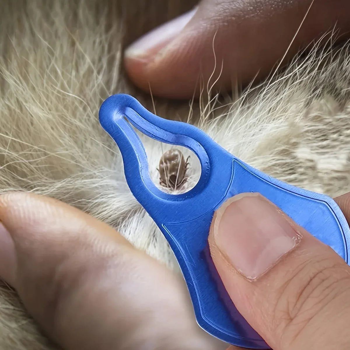 Tick Remover Tool for Dogs Cats & Humans Safe Flea Removal Hook Portable Easy No Pain