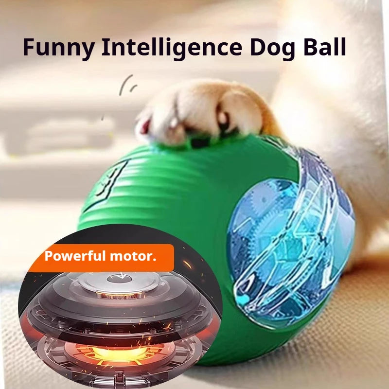 New Dog Interactive Ball Toy, Automatic Rolling Dog Ball Rechargeable, Smart Puppy Interactive Toy, Intelligent Balls Toy for Dogs