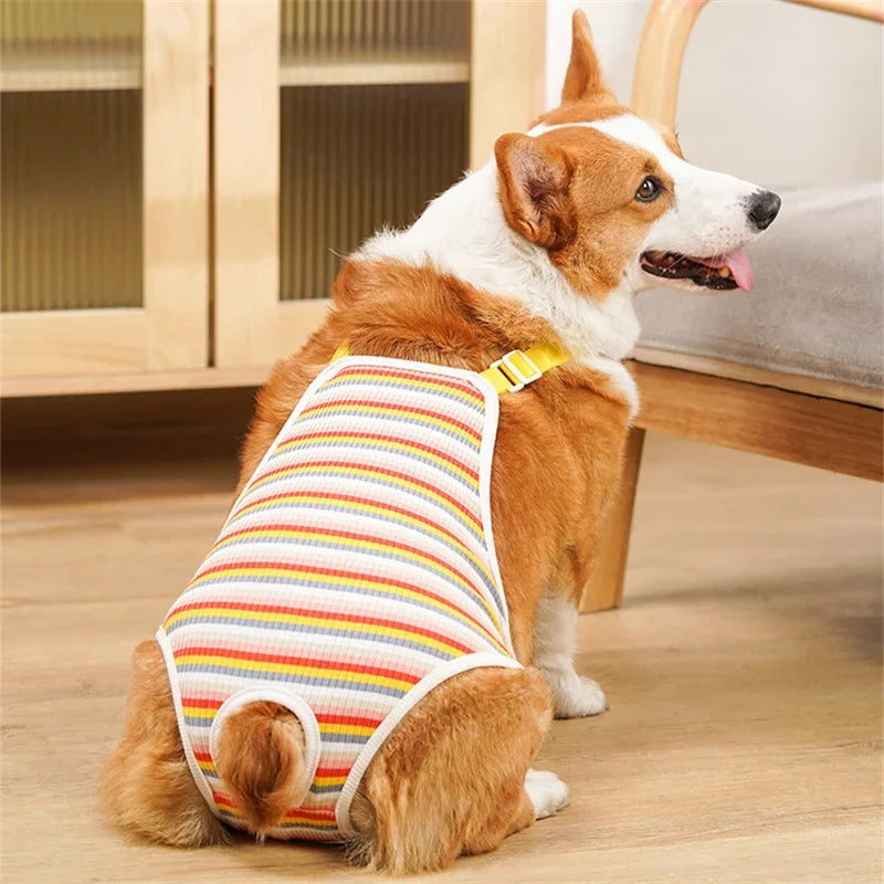 Adjustable Shoulder Strap Pants Washable, Female Dog Underwear Safety