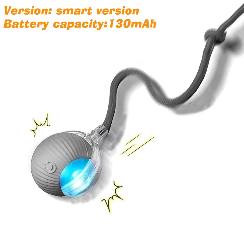 New Dog Interactive Ball Toy, Automatic Rolling Dog Ball Rechargeable, Smart Puppy Interactive Toy, Intelligent Balls Toy for Dogs