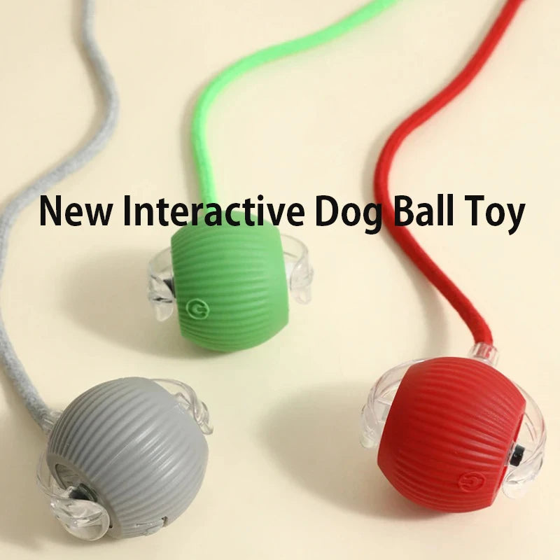 New Dog Interactive Ball Toy, Automatic Rolling Dog Ball Rechargeable, Smart Puppy Interactive Toy, Intelligent Balls Toy for Dogs