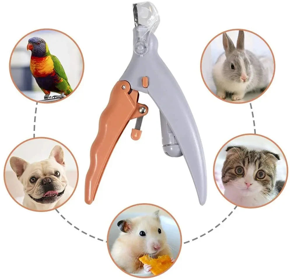 Professional Pet Nail Clipper Scissors With LED Light Cat Dog Nail Clippers Tool Scissors Nail Toe claw Cutter Scissors Pet Suppl
