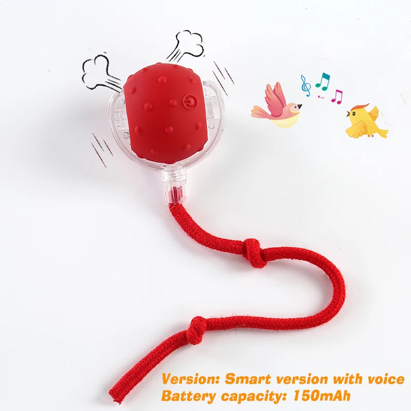 New Dog Interactive Ball Toy, Automatic Rolling Dog Ball Rechargeable, Smart Puppy Interactive Toy, Intelligent Balls Toy for Dogs