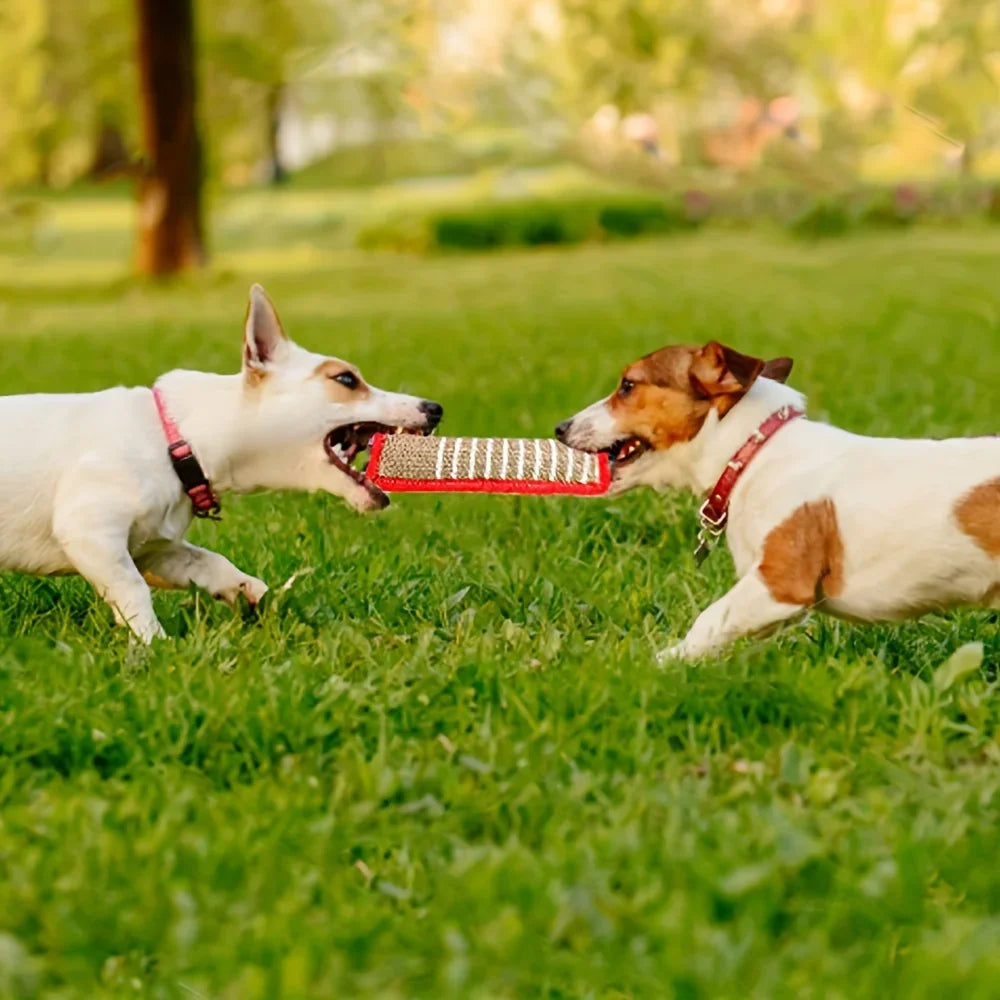 1pc Durable Jute Dog Chew Toy - Bite-Resistant Teething Stick