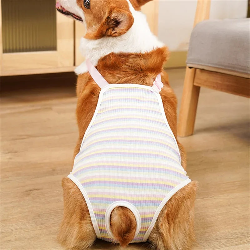 Adjustable Shoulder Strap Pants Washable, Female Dog Underwear Safety
