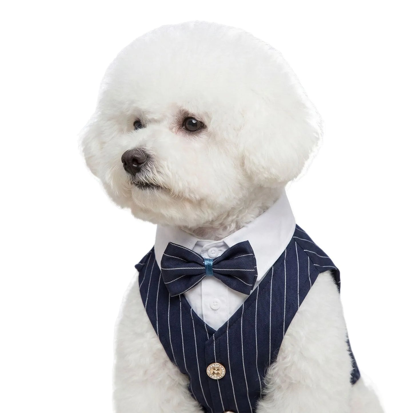 Pet Dog Teddy Small Dog Cat Spring and Summer Dog Clothes Thin Suit Shirt Suit Wedding