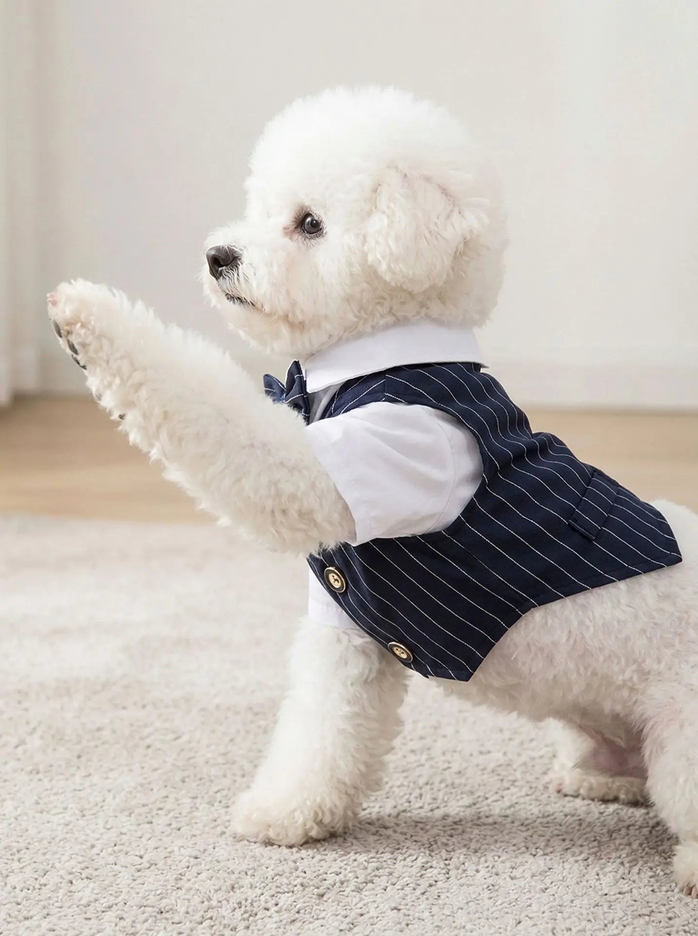 Pet Dog Teddy Small Dog Cat Spring and Summer Dog Clothes Thin Suit Shirt Suit Wedding