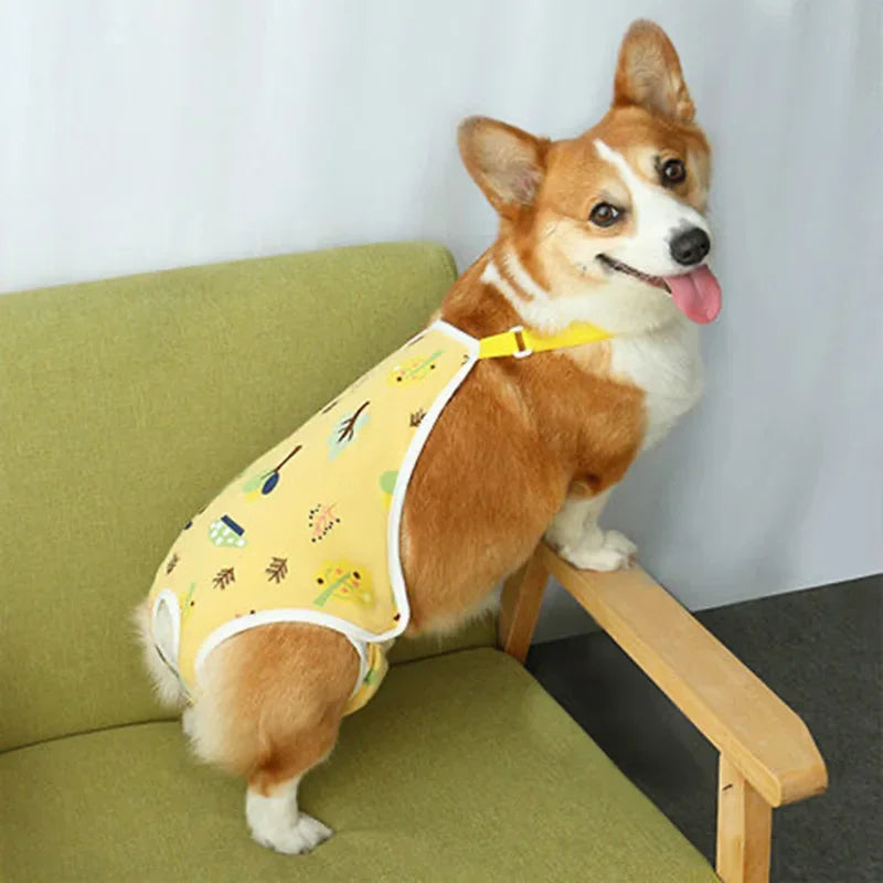 Adjustable Shoulder Strap Pants Washable, Female Dog Underwear Safety