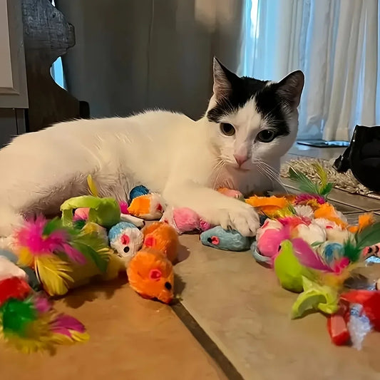 56pcs/28pcs/14pcs Cat Mixed Toy Pack.